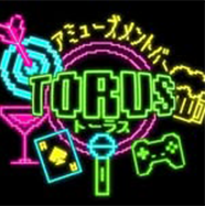 TORUS-トーラス-