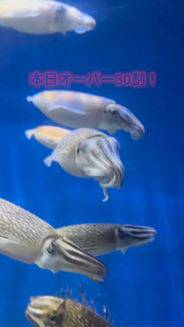 【本日オーバー30割】30歳以上のお客様は終日セット料金が半...